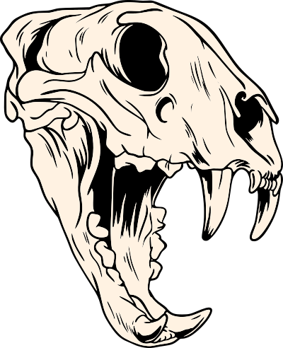 Panthera's logo depicting a tiger scull over a neon sunset.